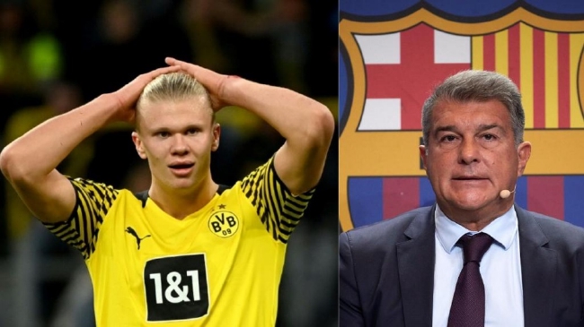 重金挖角！曝申花欲签国安全能中场，顶替即将离队的阿玛杜（申花出手：计划高价引进国安全能中场，接替将离队的阿玛杜）